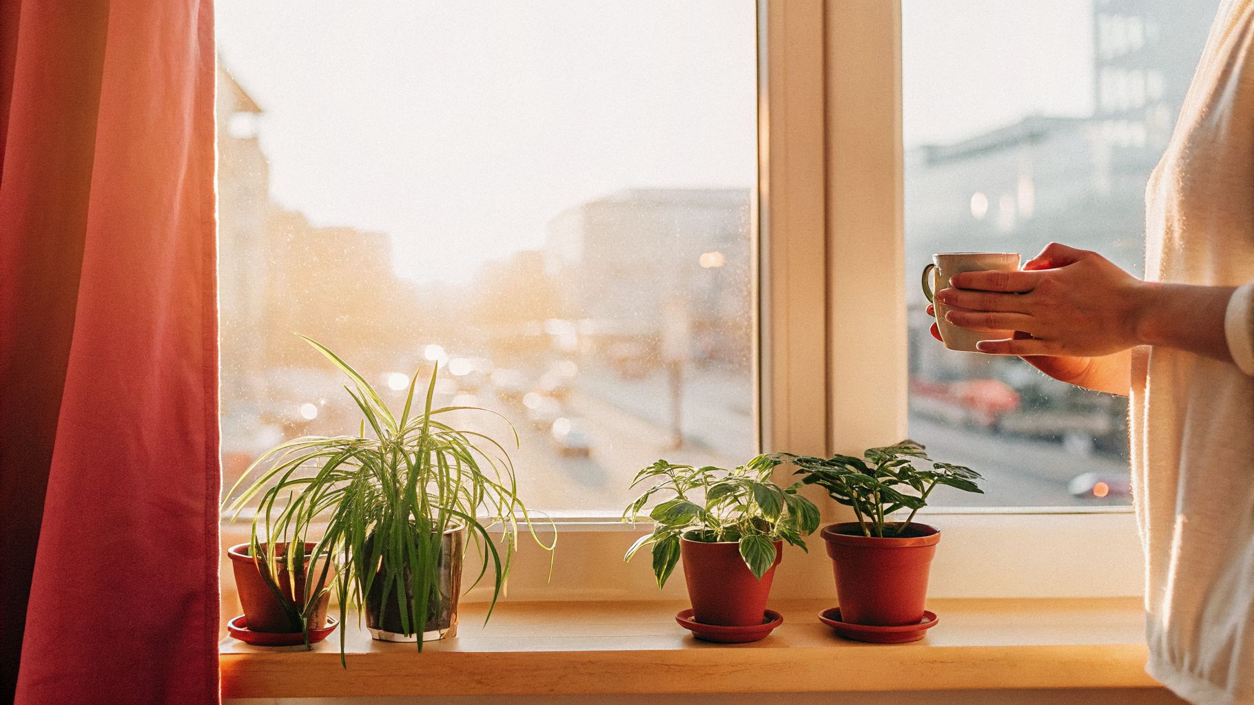 Awareness and change: pausing by a window before reacting to daily stress