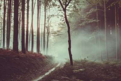 Transforming Setbacks into Strength: A Motivational Coaching Approach to Turning Pain into Purpose