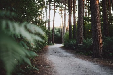 Redefining Ambition: A Step-by-Step Guide to Purposeful Success and Lasting Fulfillment