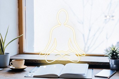 flow linking practice, neural change, behavior, and reduced burnout